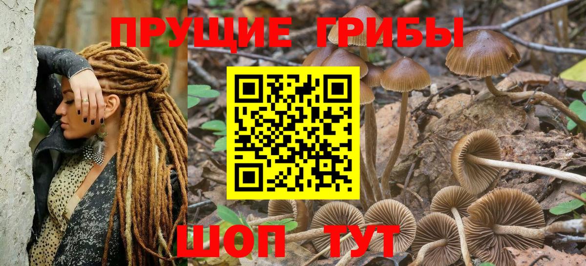 Псилоцибиновые грибы ЛСД Шелехов